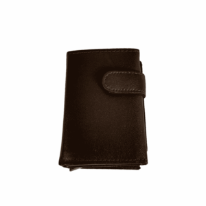 Cartera Tarjetero Marrón