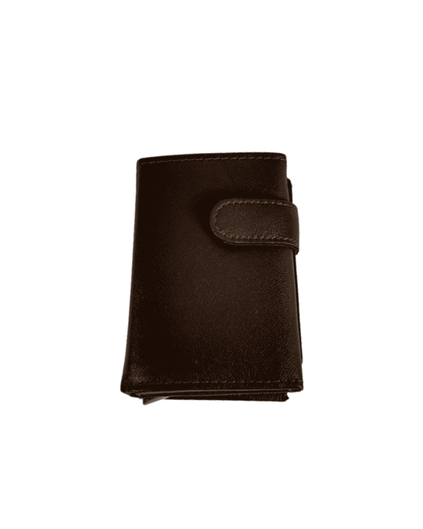 Cartera Tarjetero Marrón